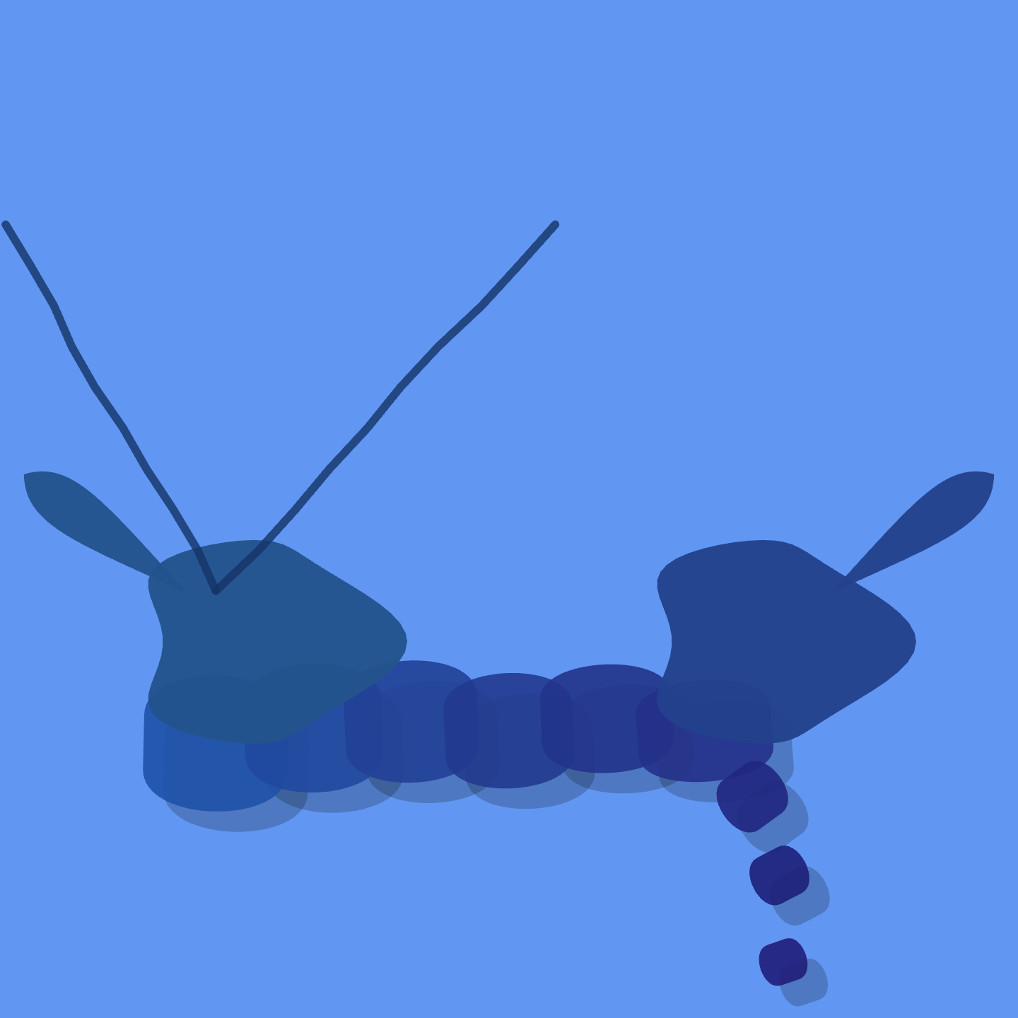 Blue Lobster